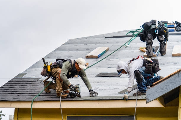 Professional Gutter Installation technician working in Cedar Grove, TN